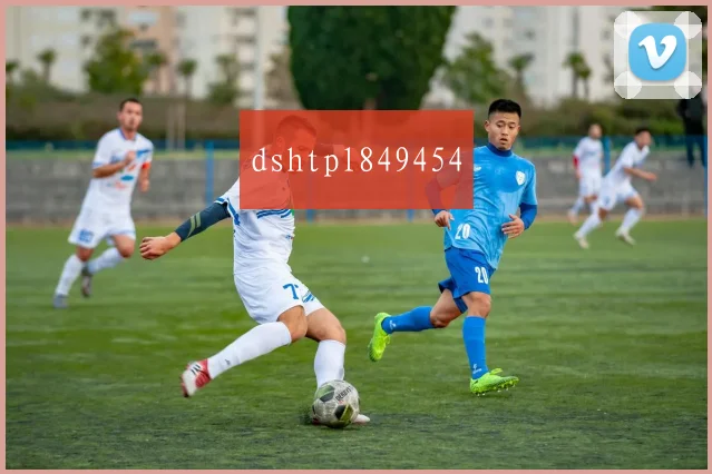 dshtpl849454
