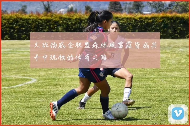 文班扬威全联盟森林狼雷霆皆成其手中玩物的传奇之路