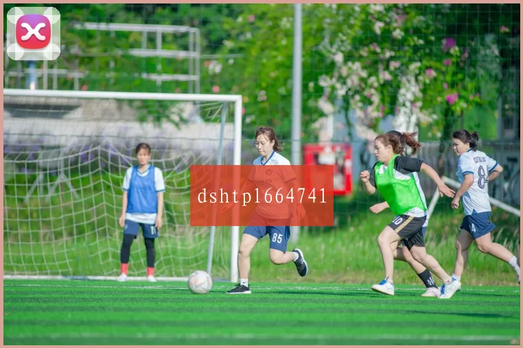 dshtpl664741