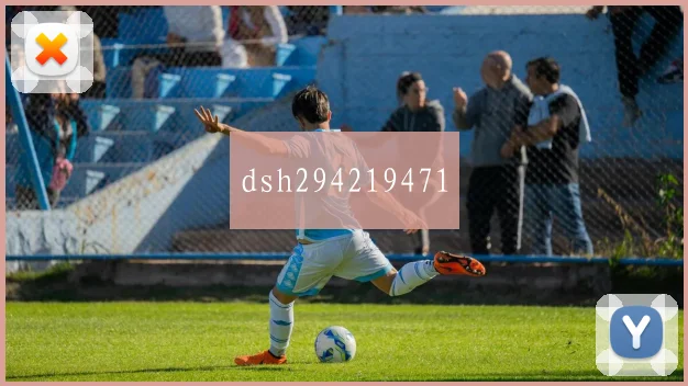 dsh294219471