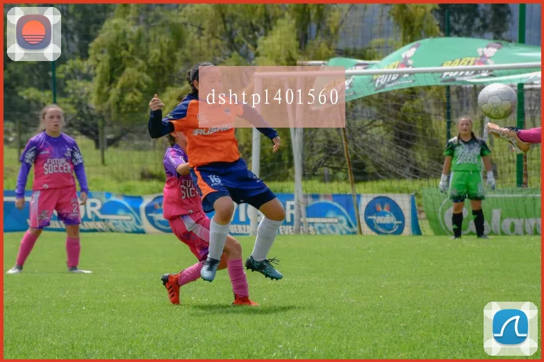 dshtpl401560