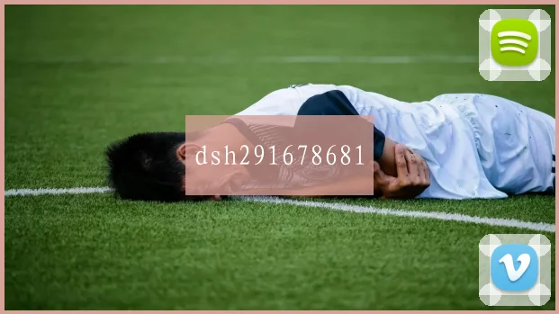 dsh291678681