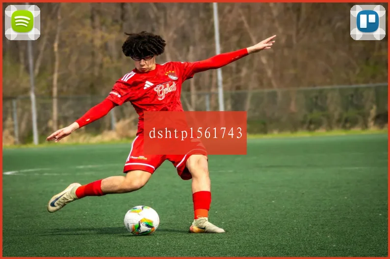 dshtpl561743