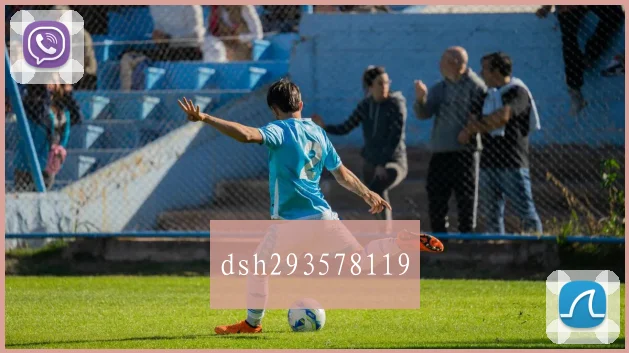 dsh293578119