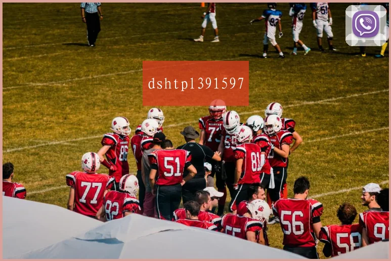 dshtpl391597