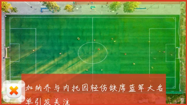 加纳乔与内托因轻伤缺席蓝军大名单引发关注